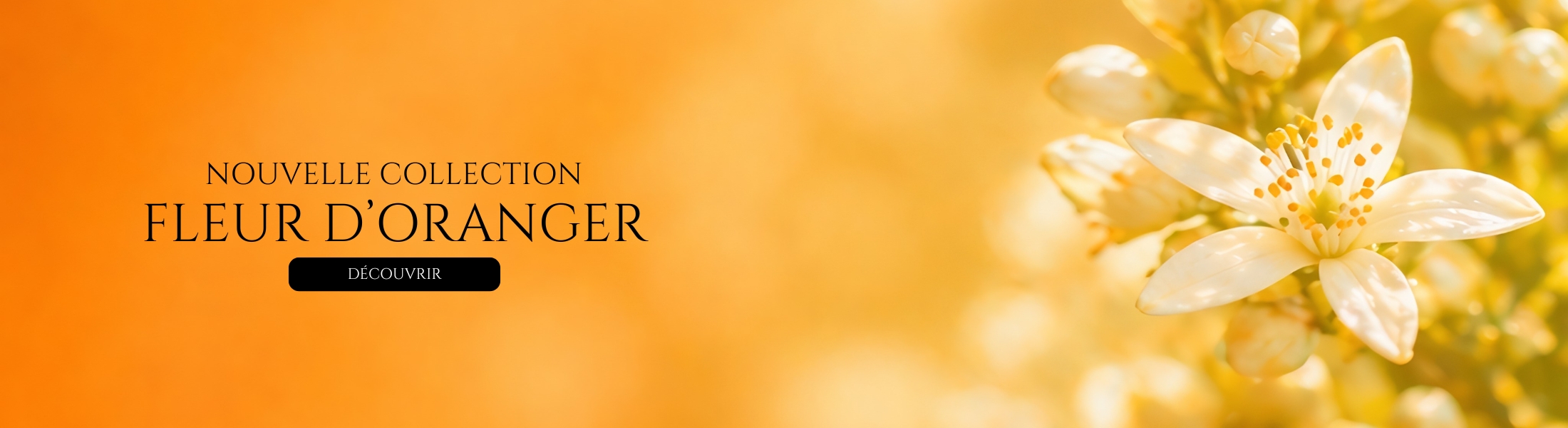 Nouvelle Collection Fleur d'Oranger